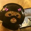 user.userrj