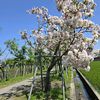 yi_28028