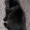 dark.soulso7