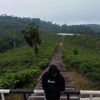 rehan.we80