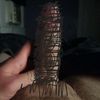 therebirthofmrmeat