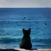 rand.edits1