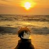 shintaro4646