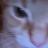 24_h_nhoem