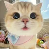 bemyy431