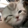 little_girls3012
