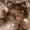 iluvmango_6281