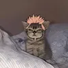 panlabubu_
