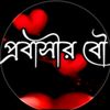 user1081190532485