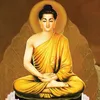 xuyenfnmqxe