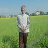 krishna.acharya379