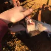 meeeeahorsey