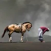 quran.5_hdv