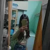 briii1816
