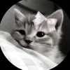 nispaaaakznxkd