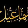user8452792072183