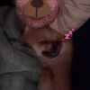 hughleftnut