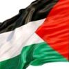 free_gaza82