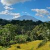 kadek.lestari116