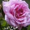 user6241605717374