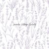 lavendervillagesociety