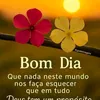 user4507127483682
