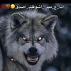 mostafamostfa016