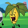 dimcraabeer