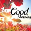 minh.trng463
