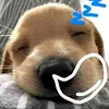 _phthanhhtn12_