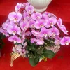 tu.anh.0904