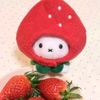 strwbry_caya