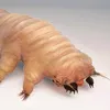 viktorfranky3