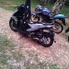 lexx.ibnu