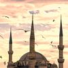 masallah.allah0