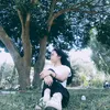 stvr_light48