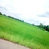user5509460065540