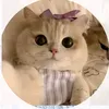 sharienadump3