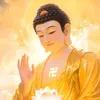 TÂM TỪ BI ✅