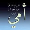 um.ali2323