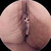 malik.ilyas2185