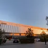 torkad_mangooo