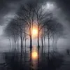 mohmedq_788