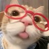 nazwa_akunke4