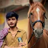 umairali.111db