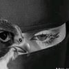 ghazala196