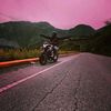 luis.hp177