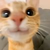 petyy130