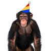 partyguy._