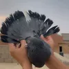 ahmad_fawbaz